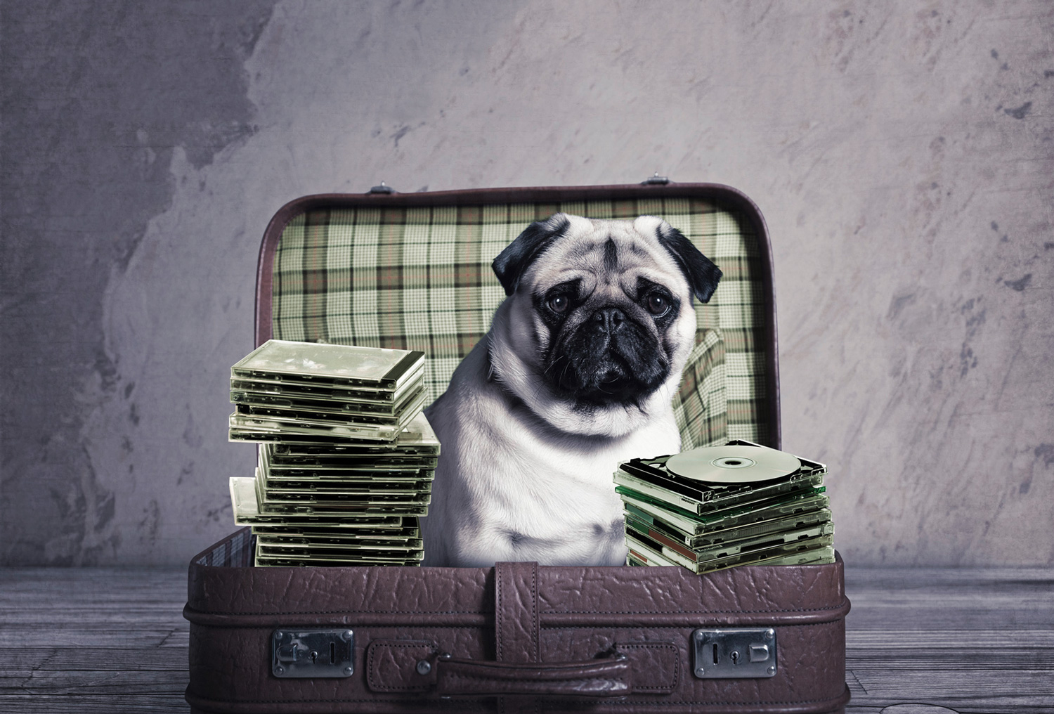 Kaifu-Sole Imagemotiv von hamburgzwo13